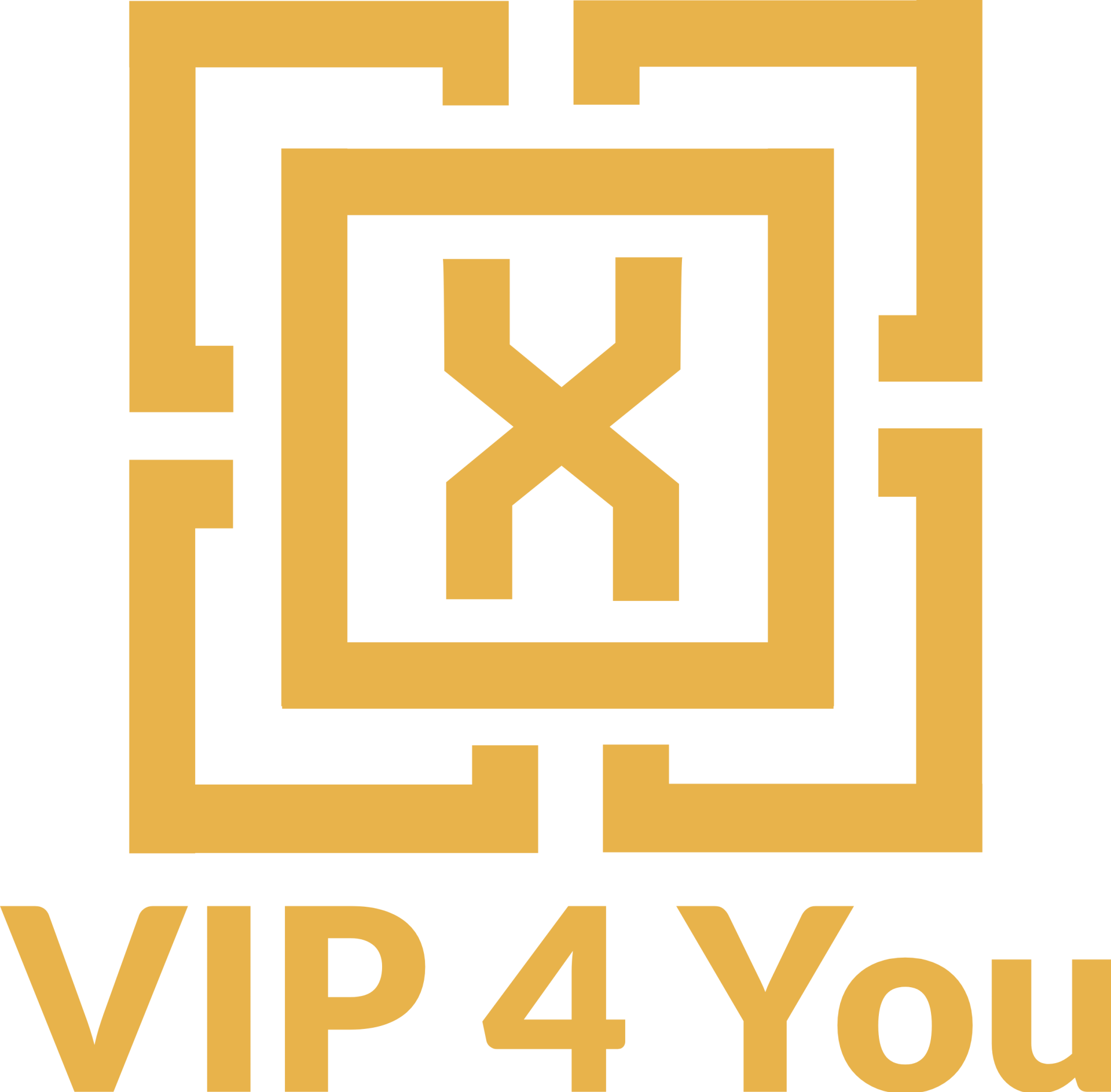 VIP4You
